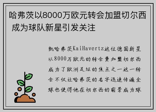 哈弗茨以8000万欧元转会加盟切尔西 成为球队新星引发关注